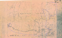 Rhynchotrochus, 295065