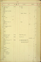Endodontidae